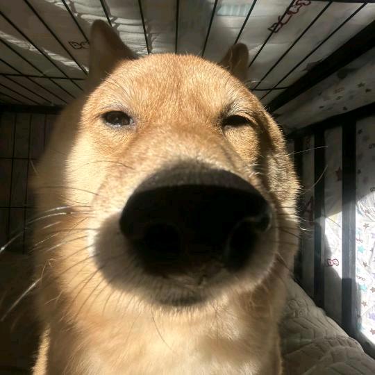 ^0^