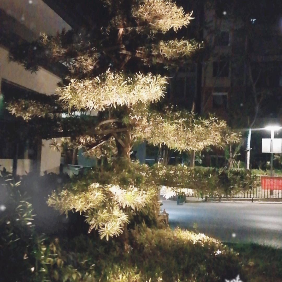 屠安贵