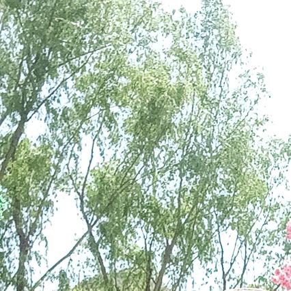 和气生财🌹🌹🌹