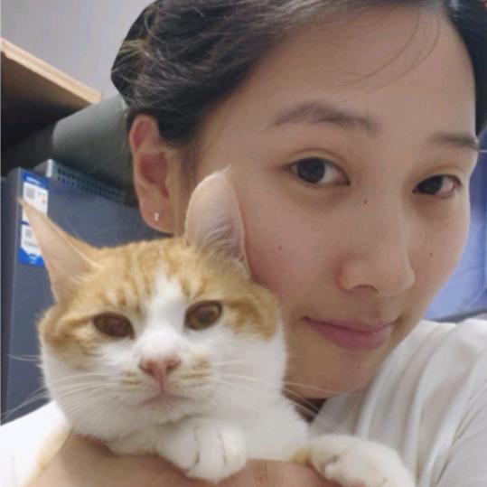 是猪啊