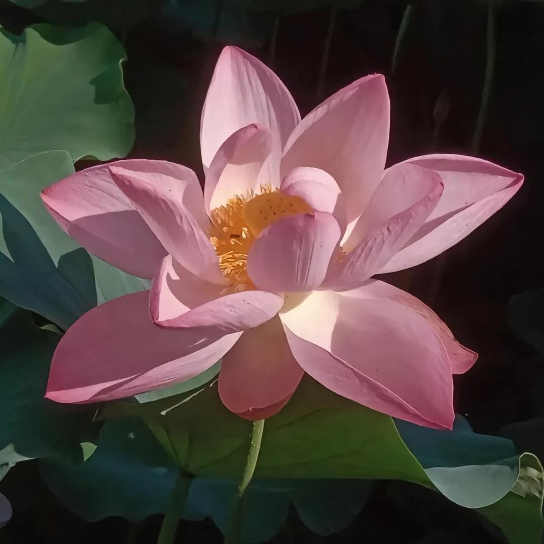 小欣妈