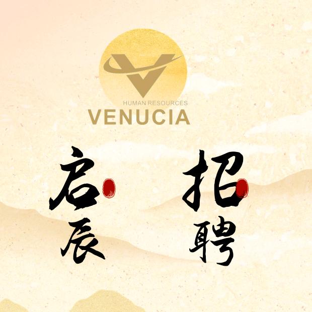 启辰人事
