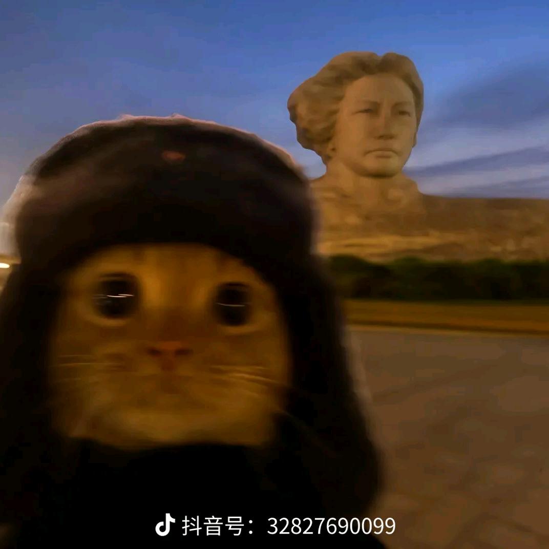 青禾纪
