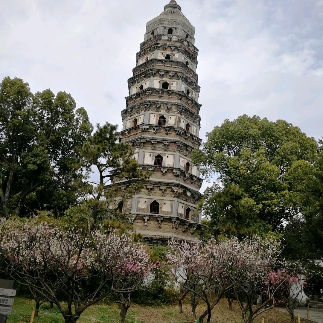 李子七