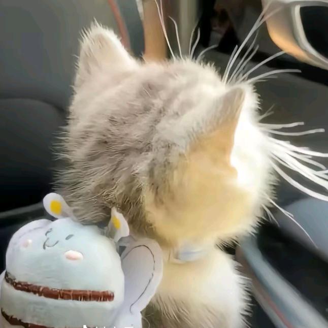 元芳宝宝（加强李元芳）