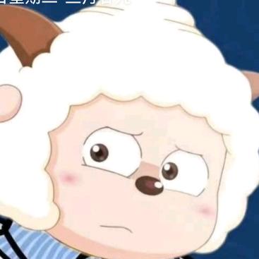 。。。。。。。。