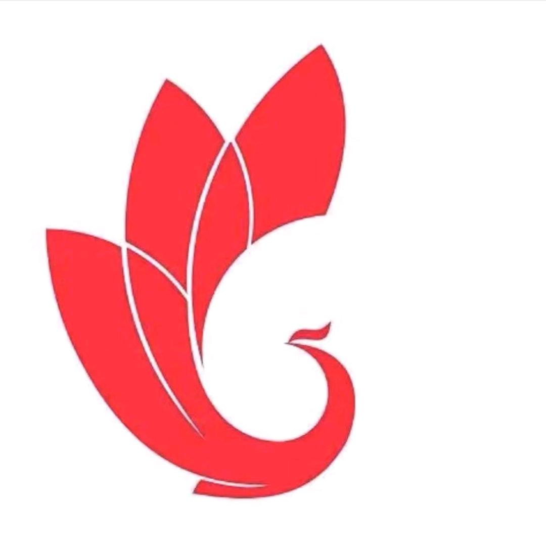 巅峰减重江苏镇江基地