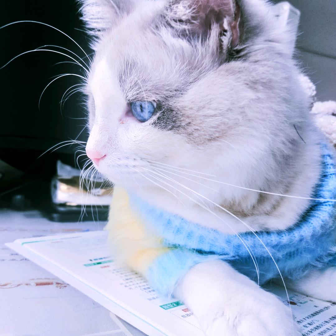 桥头顺水