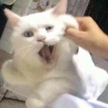 阿文哦