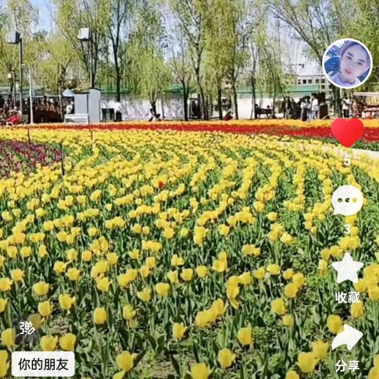 燕子 🉑🉑💗💗