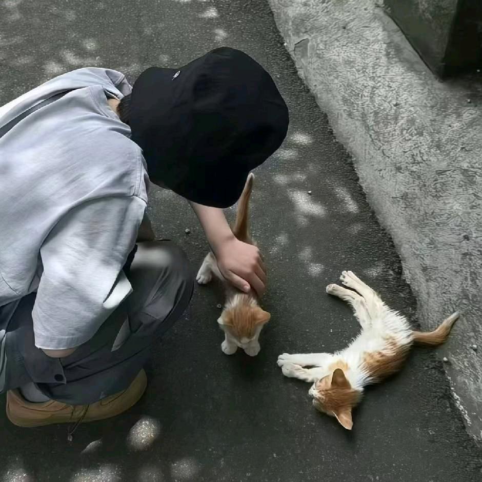 憨憨的我