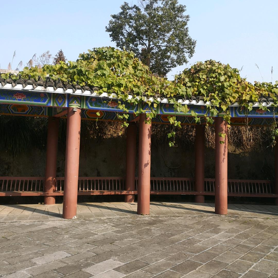 静明月