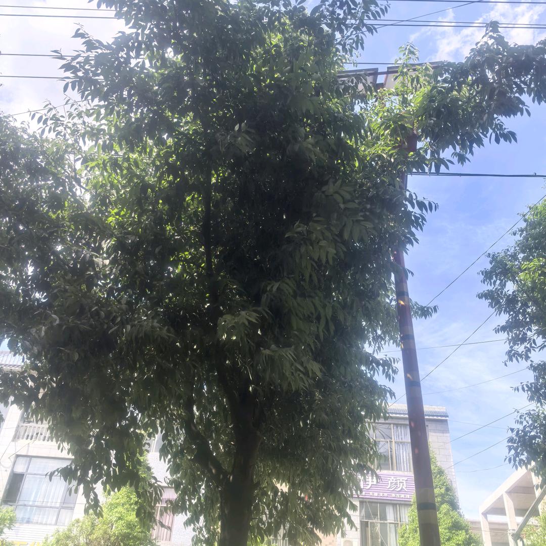 健康每一天