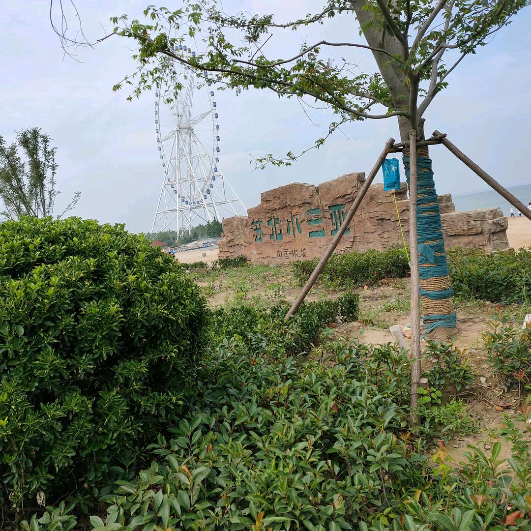 马绍宁