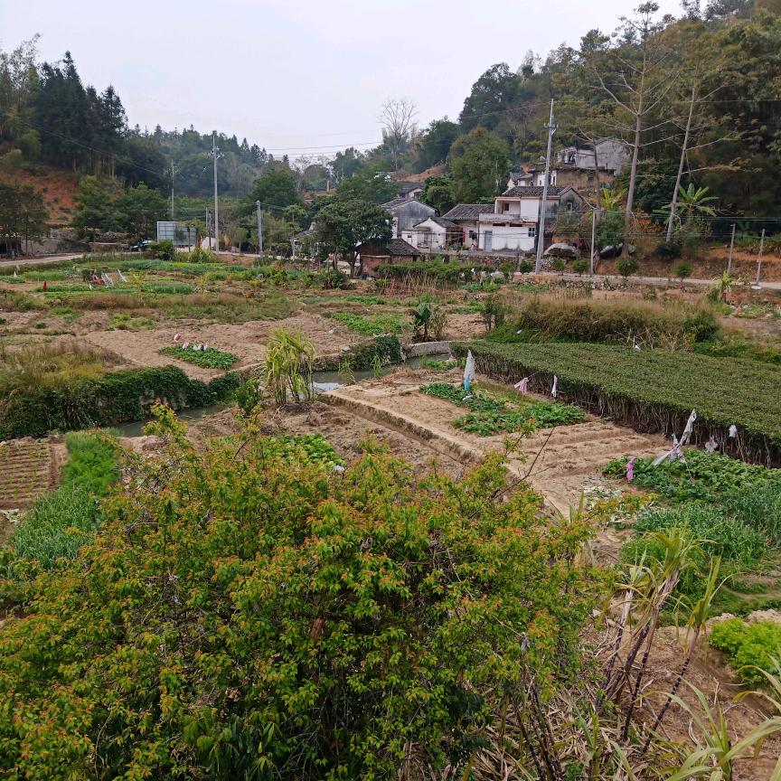 南海岸