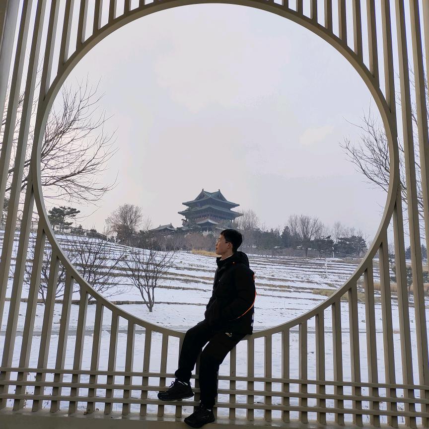 玉树林风头像