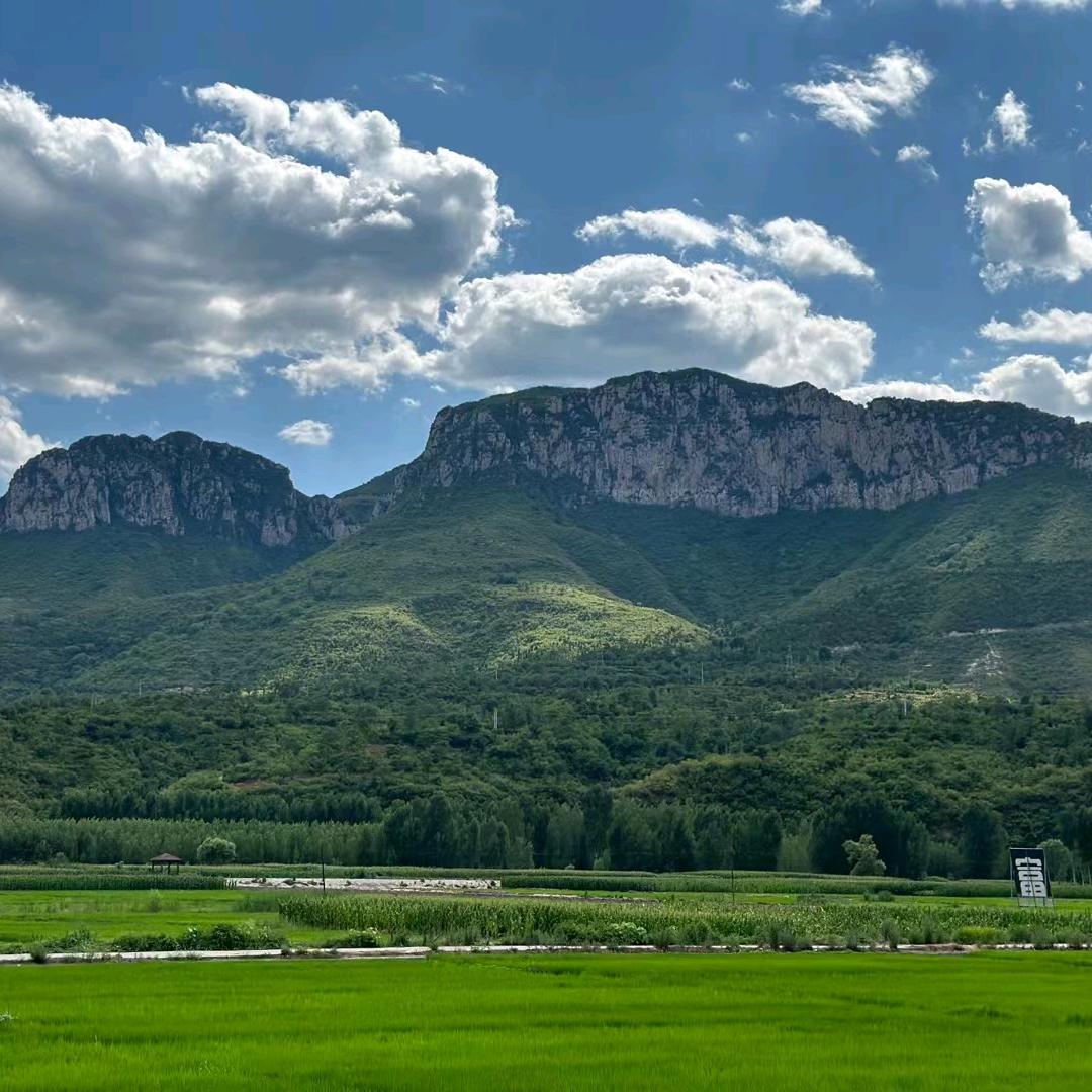 木子土申尤壹撇