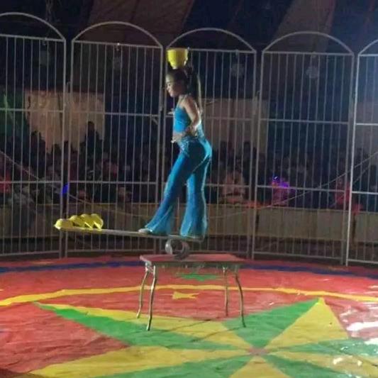 茆家《马戏团》