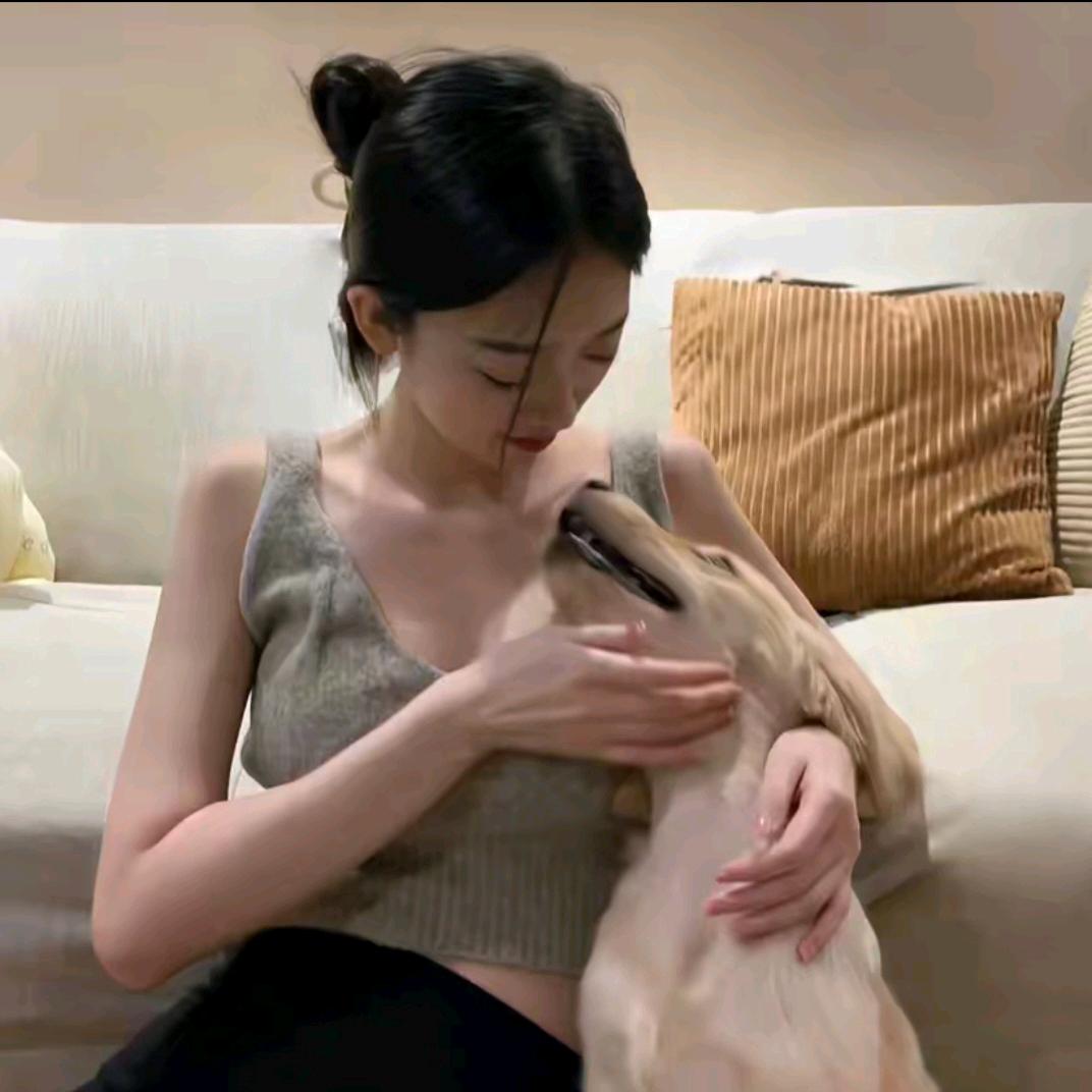 陈哈哈