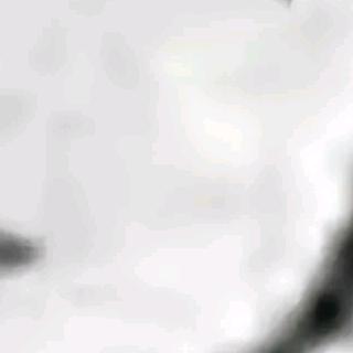 奶茶茶