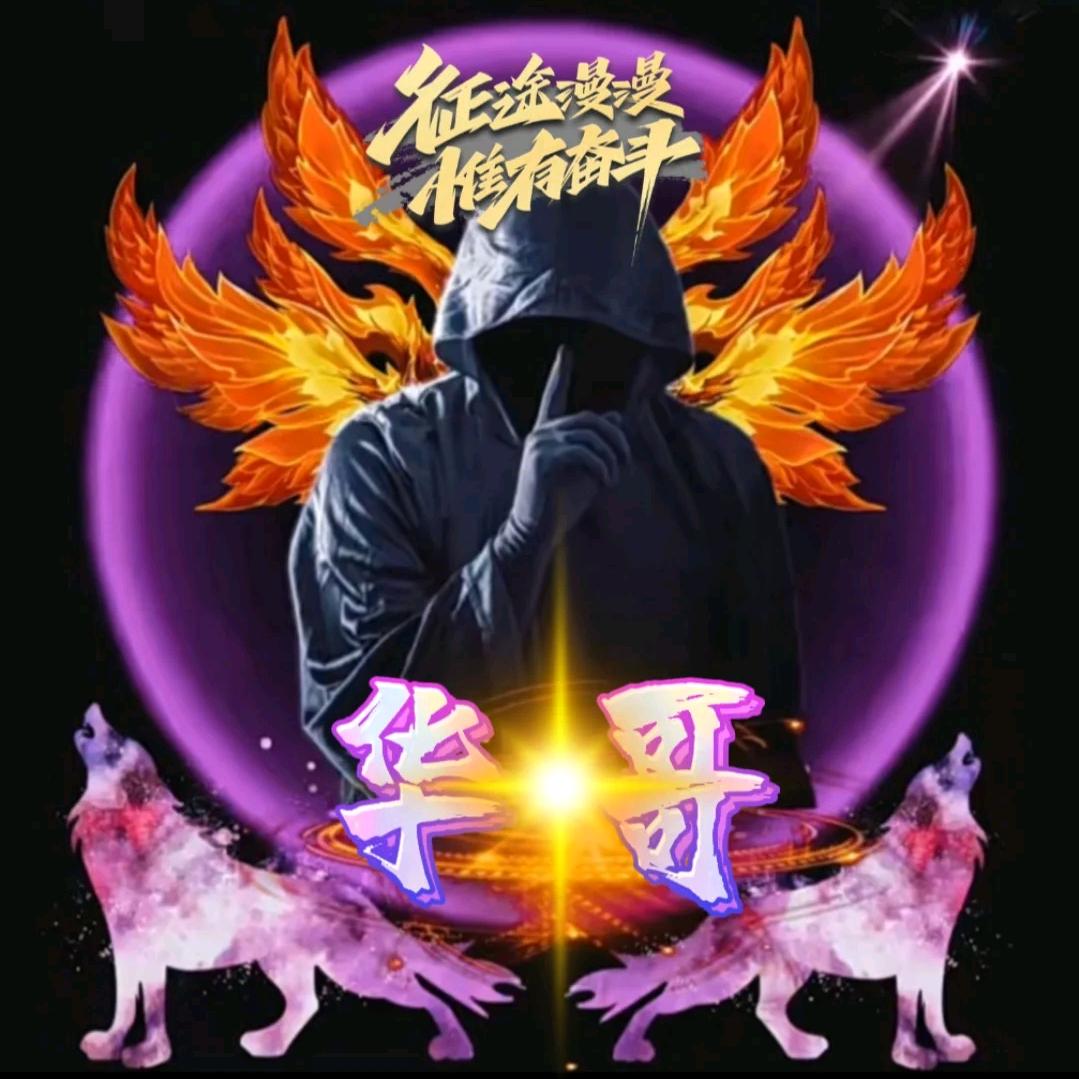 华哥影视