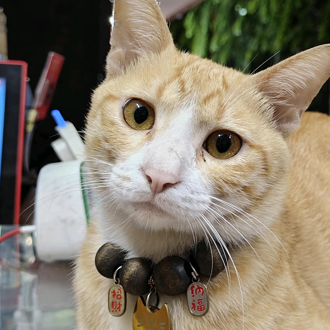幸福的开心扩达