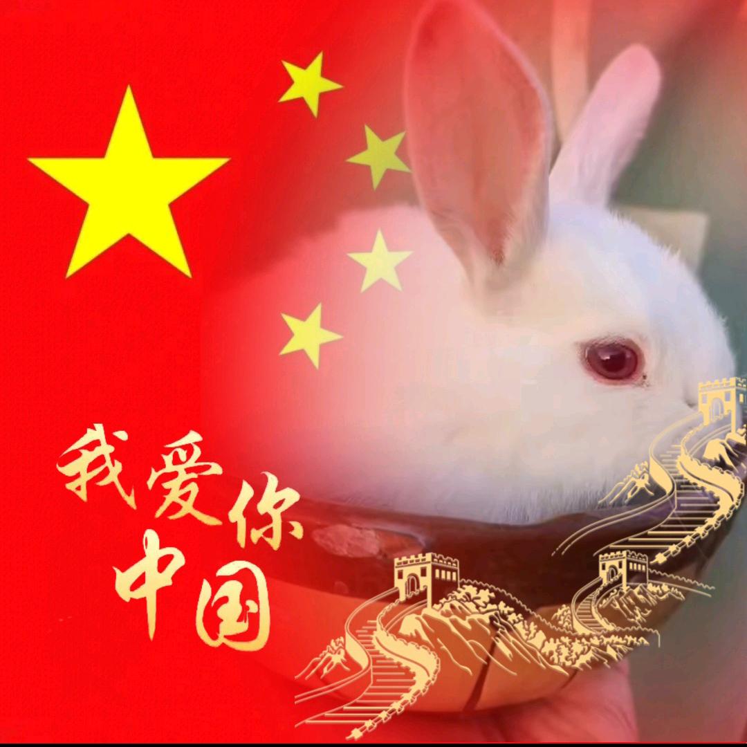 爱跳舞的💫星星💫（橱窗好物）