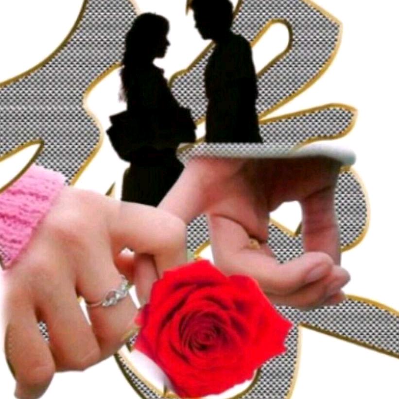 木子🌹沫沫💔《橱窗好物》