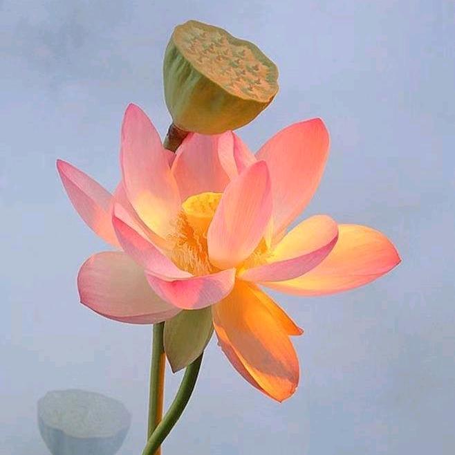 生龙.时尚三F莫乂MR&ER女装