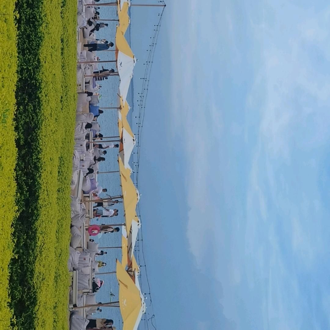 💖陌然浅笑💖