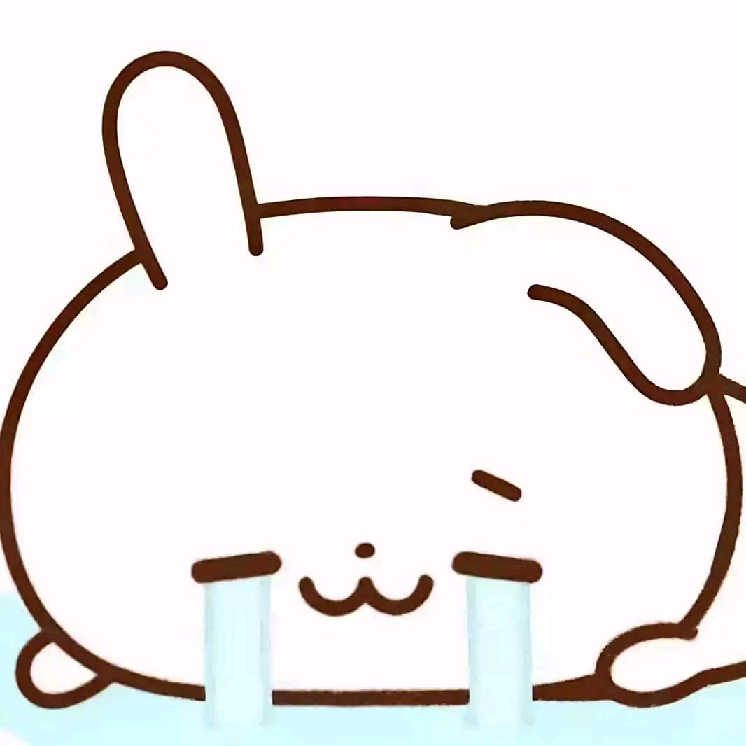 言.Kitty