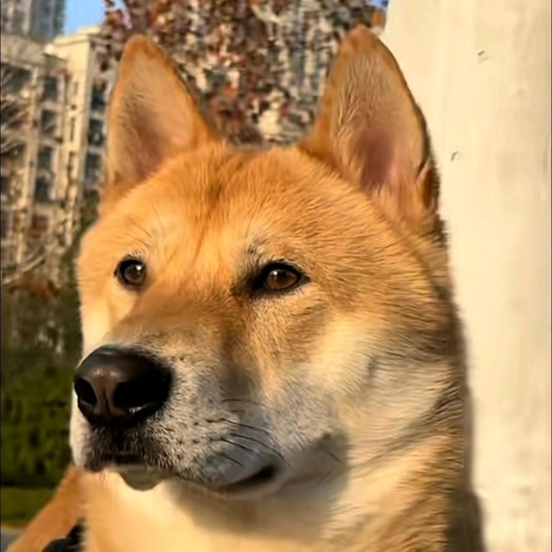 丽天食府-爱生活