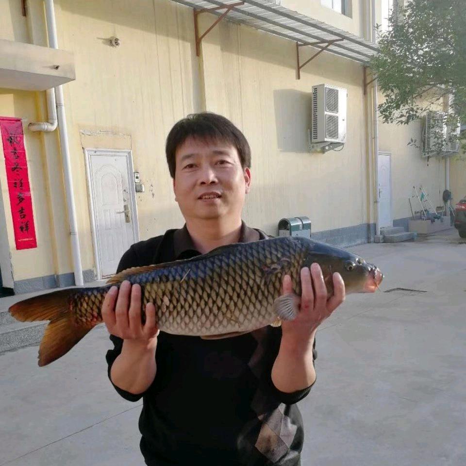 张茹集文明通讯