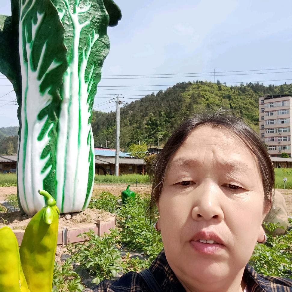 老来难