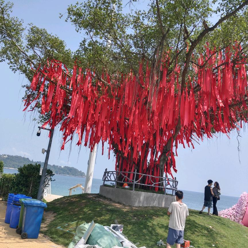王家的四姐