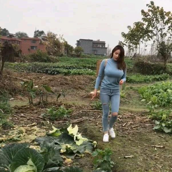 农村你芳姐