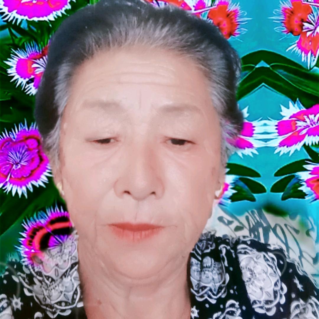 快乐老太