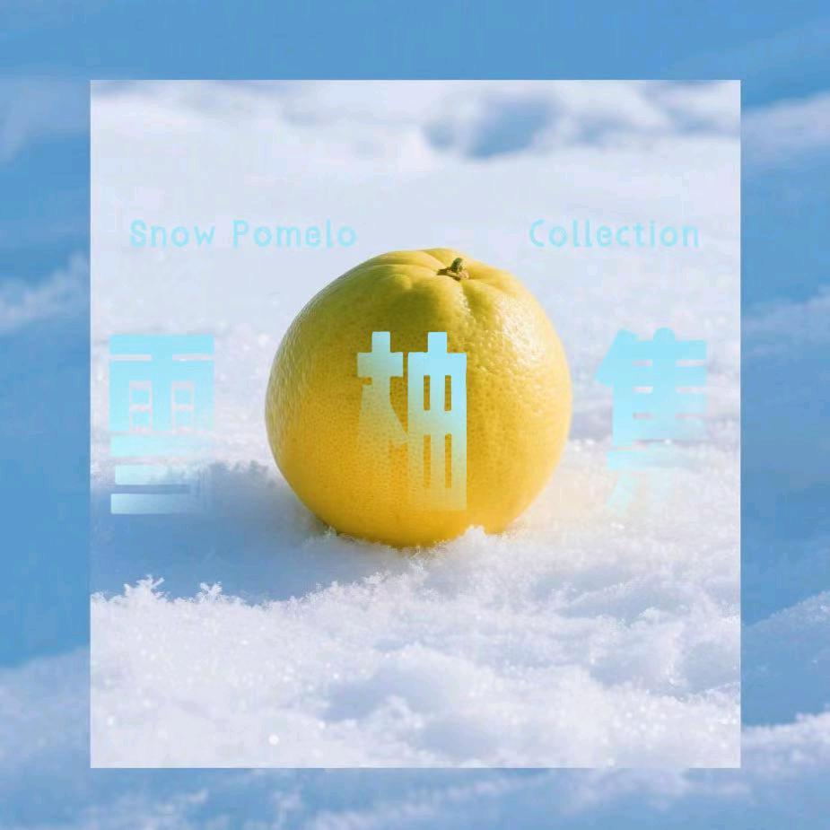 雪柚集1店