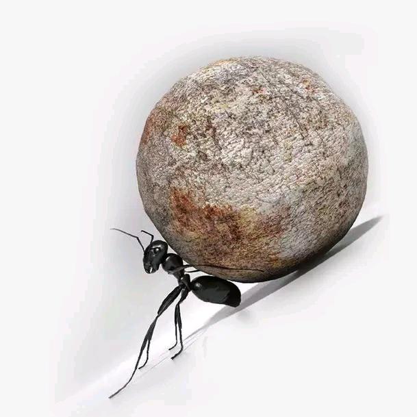 小蚂蚁🐜（穿越机）