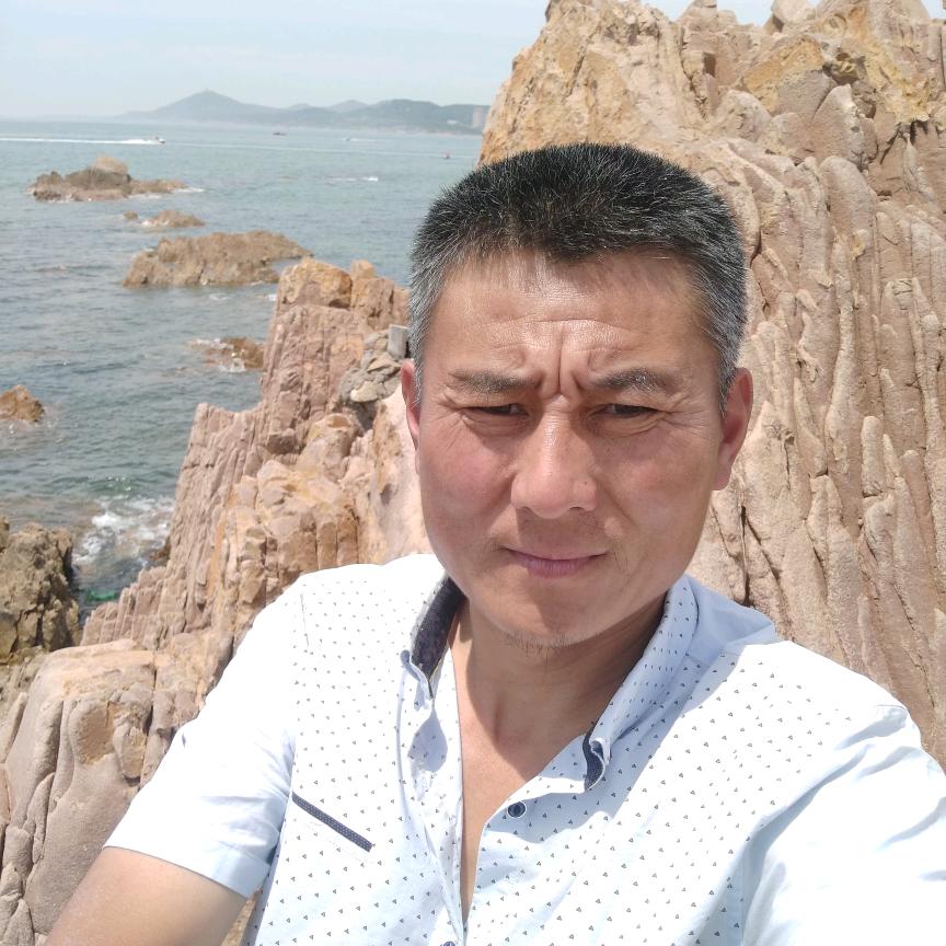 明月迎晨松