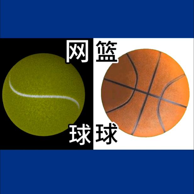 球球是道