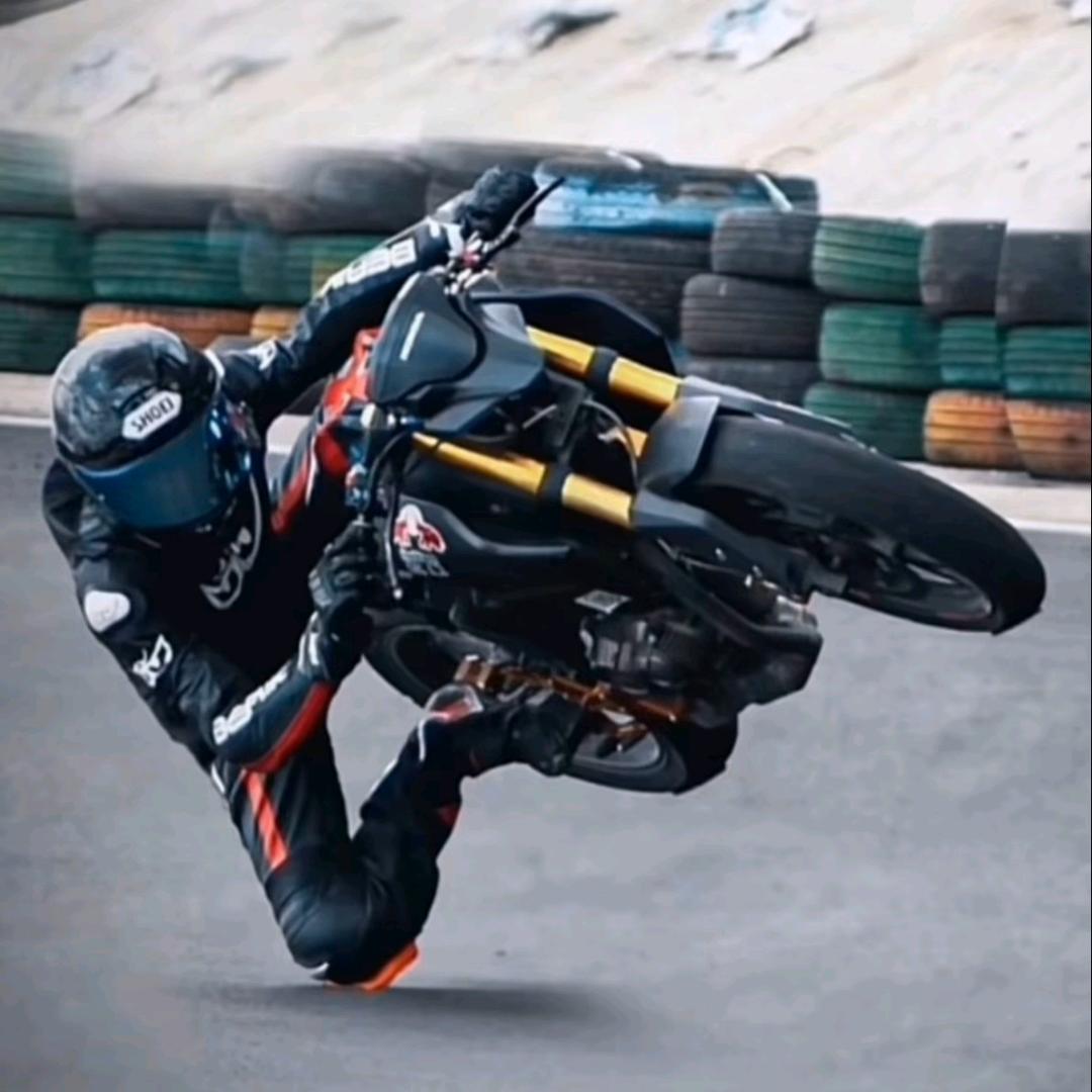 ༺驯龙༒高手༻