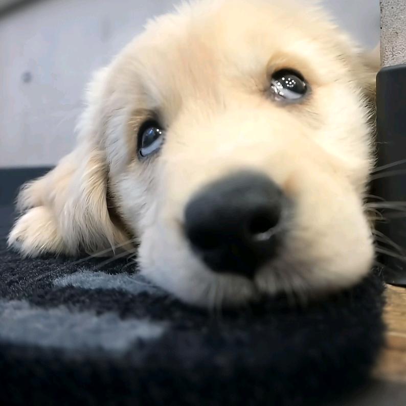 🌹花开～富贵🌹