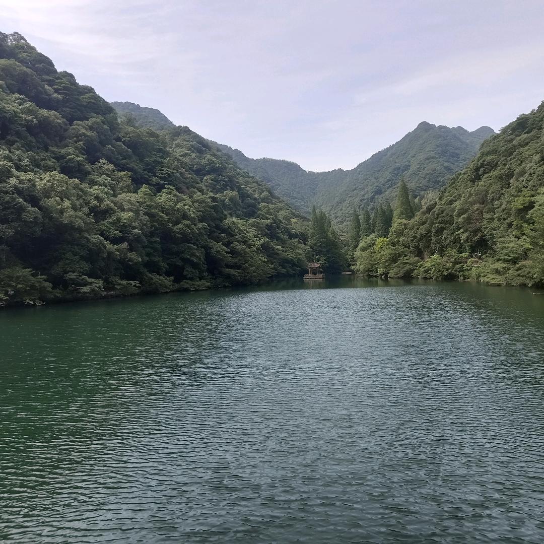 龘(