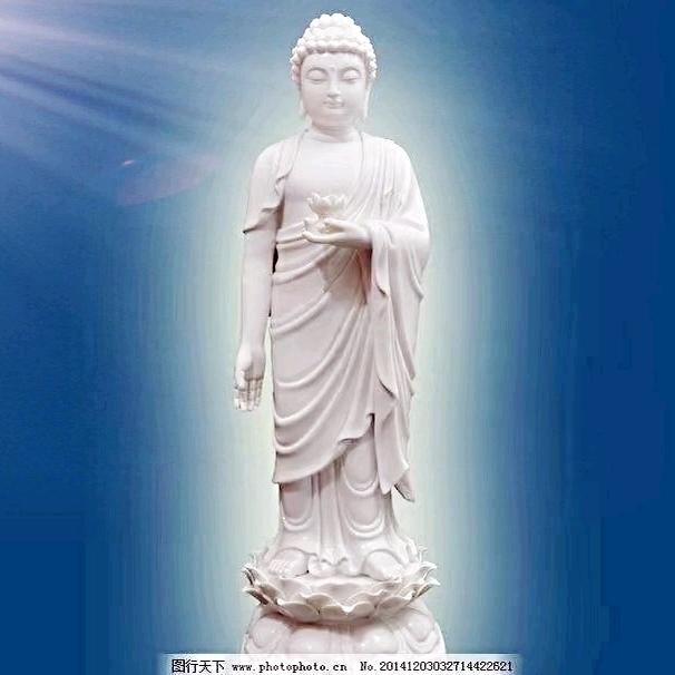 驾考培训咨询