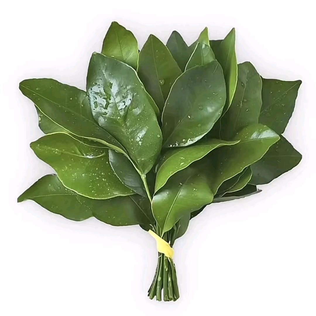 Felix