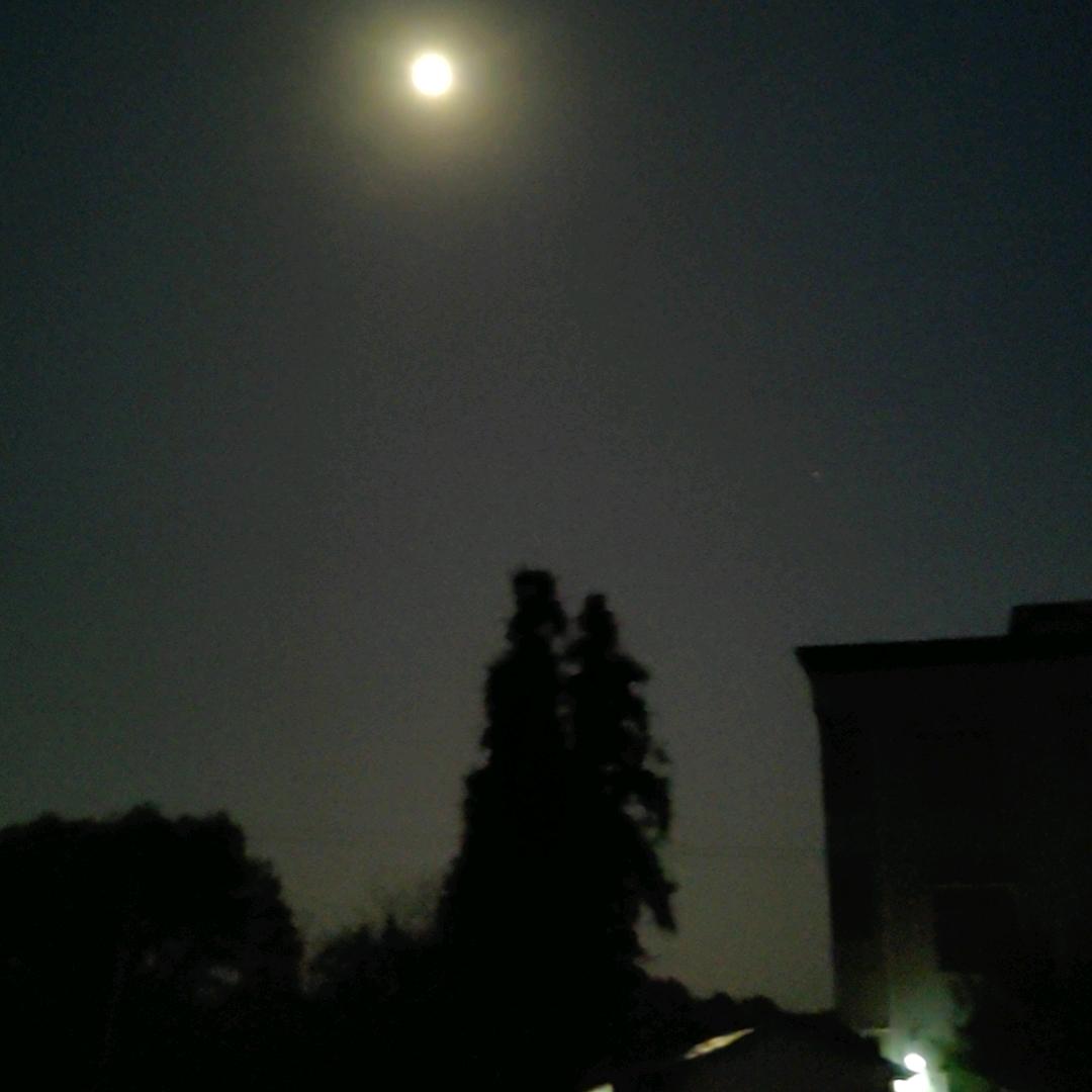 杰克💫💫💫