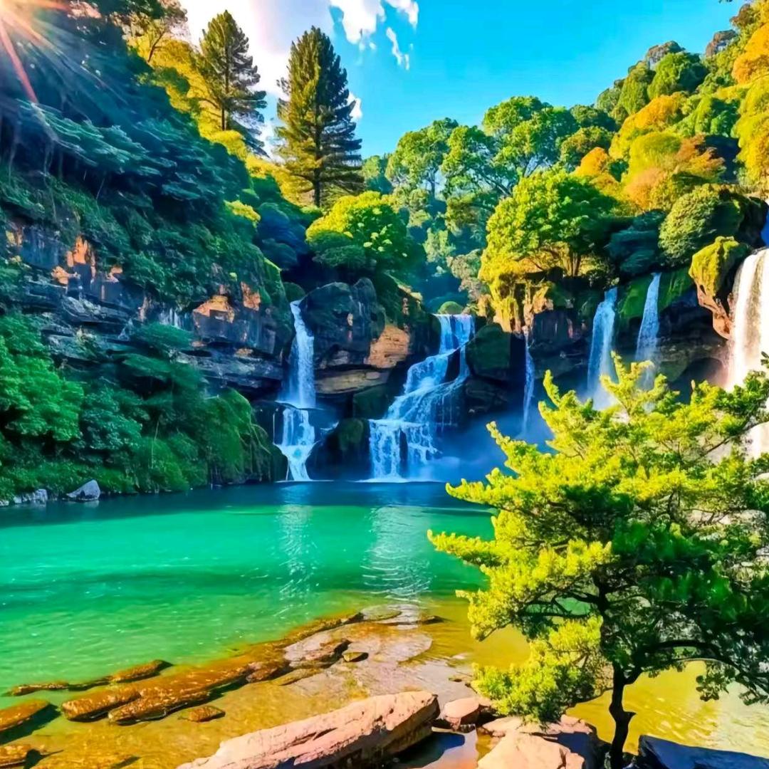 李墁灵，御颜星（全国招合伙人）