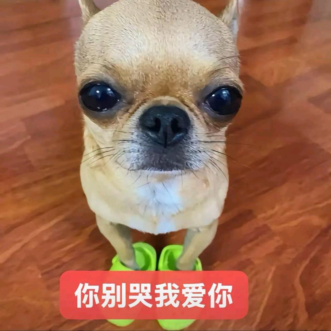 锅包肉品鉴大师（求推荐）