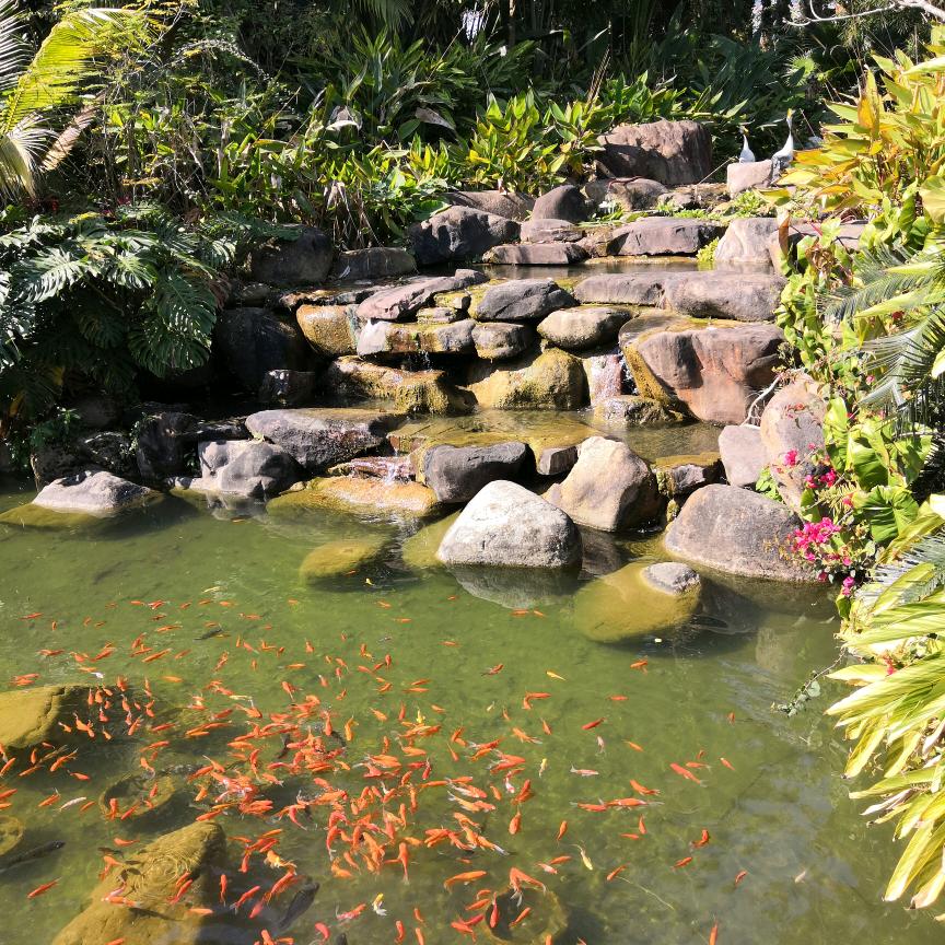 浚泽⑥六⑥